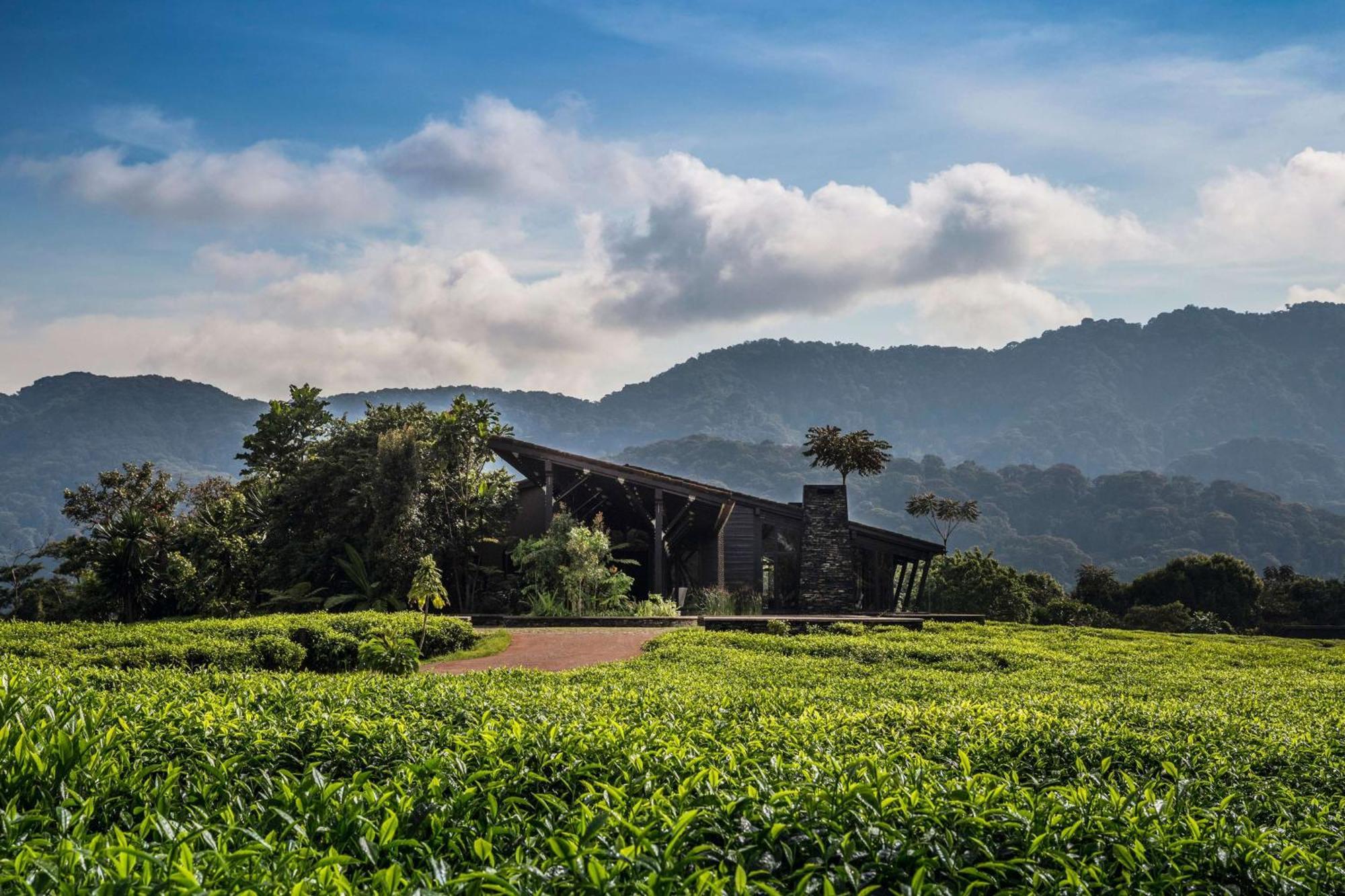 One&Only Nyungwe House Vila Rwumba Exterior foto